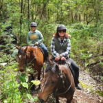 The Margaret River Ride, Western Australia - Globetrotting horse riding holidays