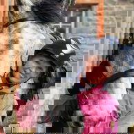 Thirlestane Castle Ride, Scotland - Globetrotting horse riding holidays