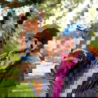 The Shoalhaven Ride, New South Wales, Australia - Globetrotting horse riding holidays