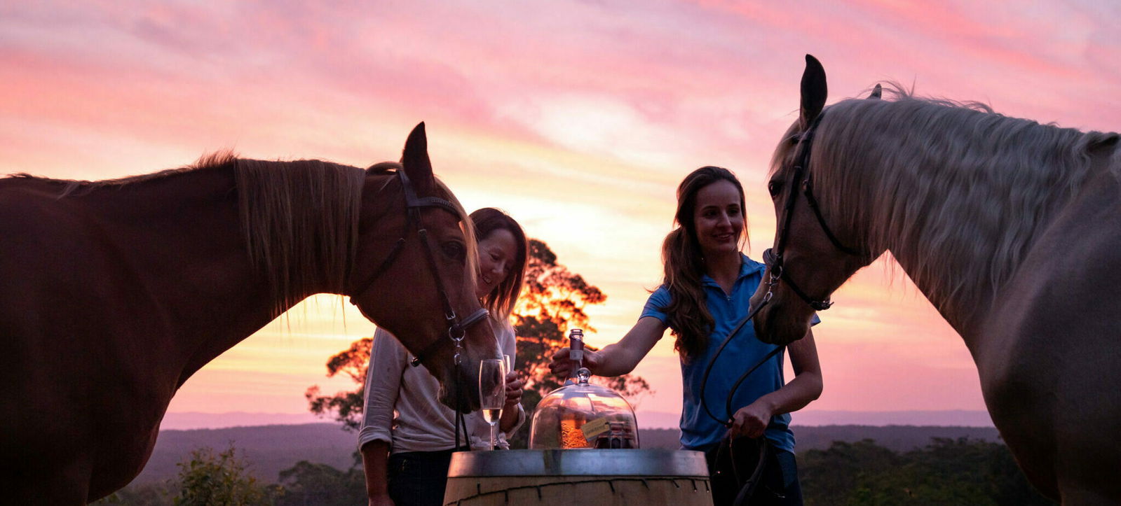 The Shoalhaven Ride, New South Wales, Australia - Globetrotting horse riding holidays