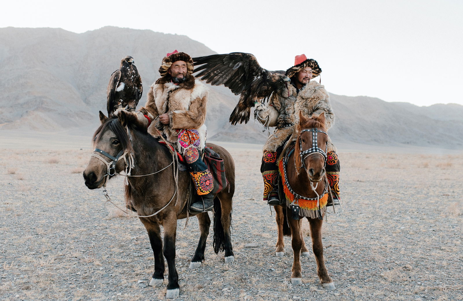 Horse Breed: Mongol - Globetrotting horse riding holidays