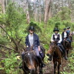 The Margaret River Ride, Western Australia - Globetrotting horse riding holidays