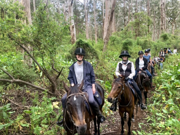 The Margaret River Ride, Western Australia - Globetrotting horse riding holidays
