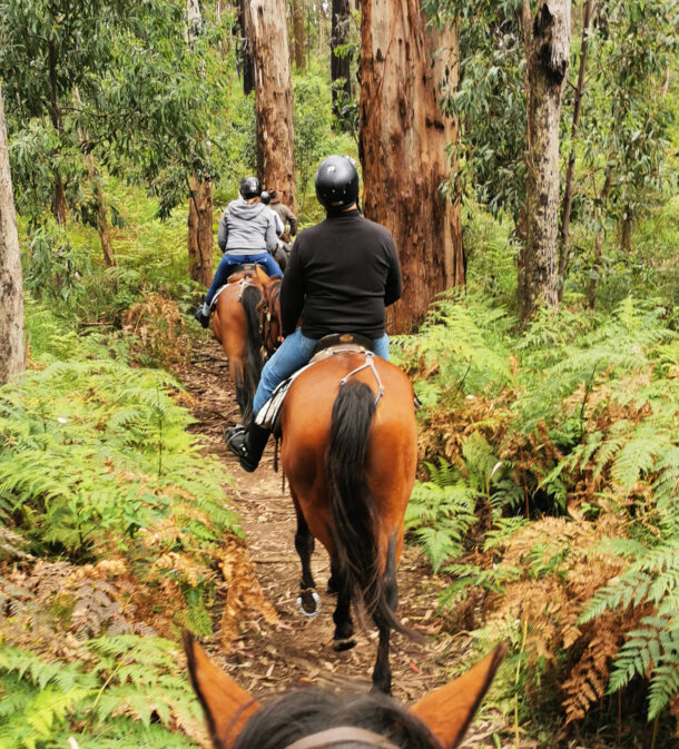 The Yarra Valley Ride, Victoria, Australia - Globetrotting horse riding holidays