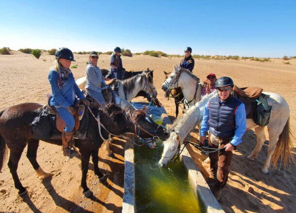 The Sahara Ride, Morocco - Globetrotting horse riding holidays