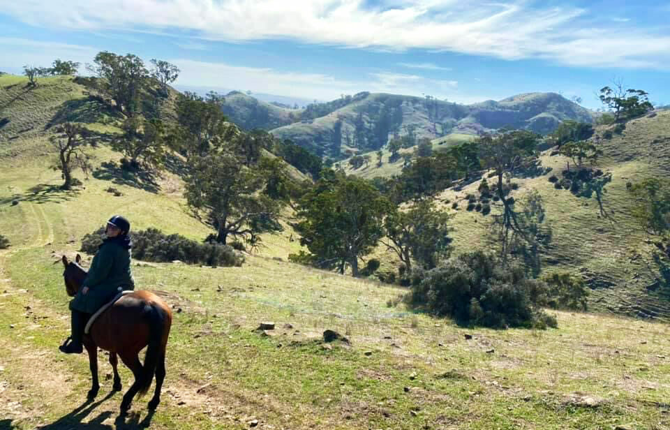 The Grape Horse Adventure, Barossa Valley, South Australia - Globetrotting horse riding holidays