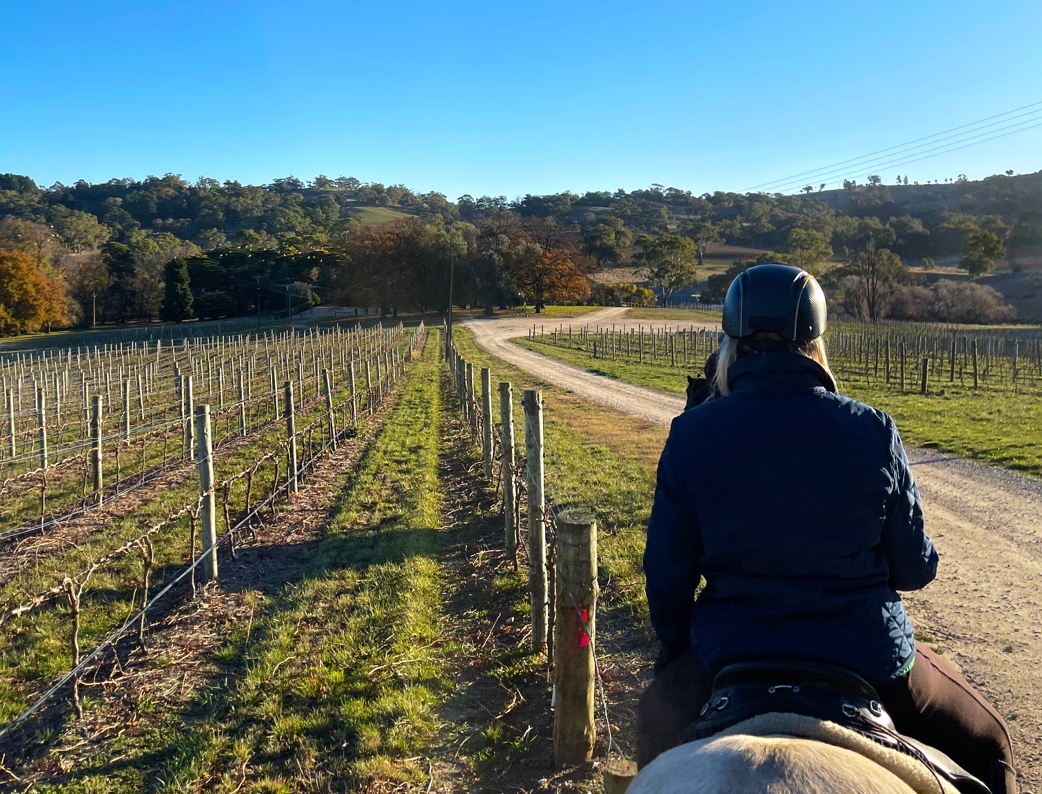 The Grape Horse Adventure, Barossa Valley, South Australia - Globetrotting horse riding holidays