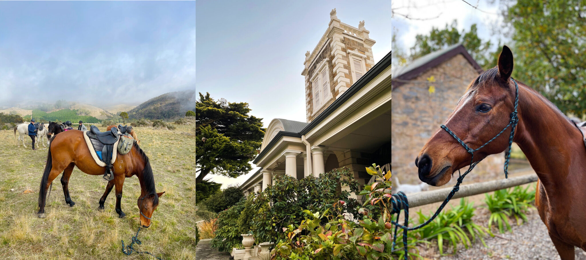 The Grape Horse Adventure, Barossa Valley, South Australia - Globetrotting horse riding holidays