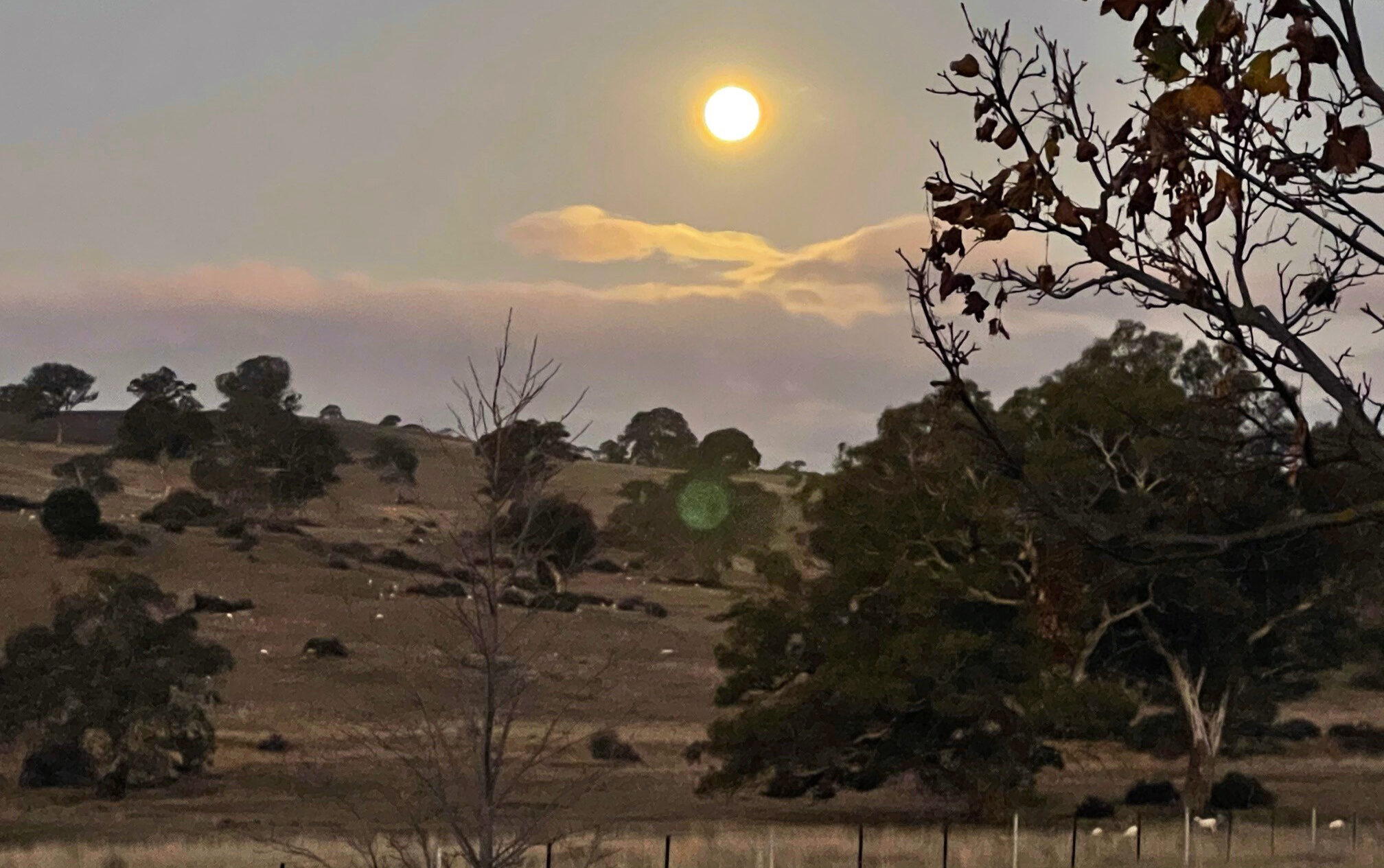 The Grape Horse Adventure, Barossa Valley, South Australia - Globetrotting horse riding holidays