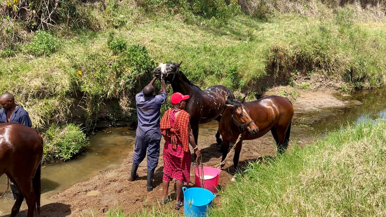 Maasai Mara Horseback Safari, Kenya - Globetrotting horse riding holidays