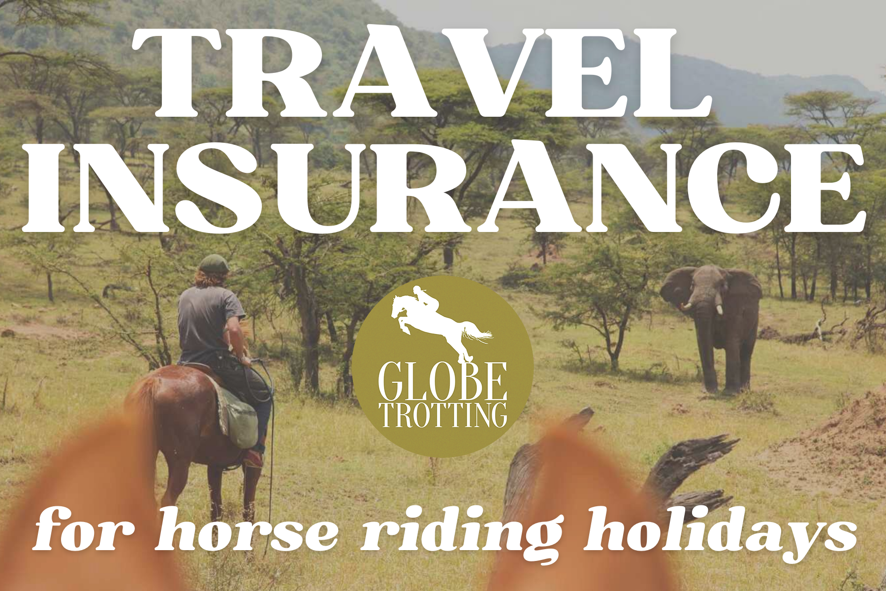 Travel insurance for equestrian vacations - Globetrotting horse riding holidays