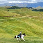 The River Valley Ride, North Island, New Zealand - Globetrotting horse riding holidays