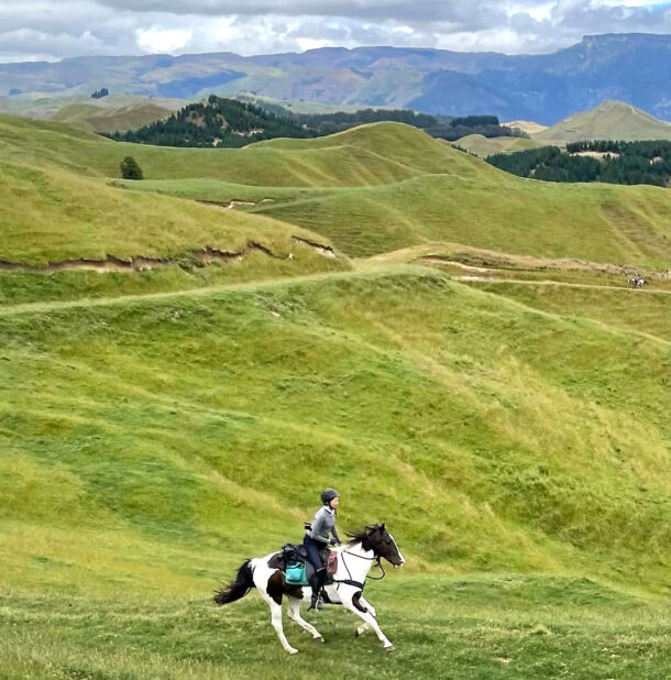 The River Valley Ride, North Island, New Zealand - Globetrotting horse riding holidays