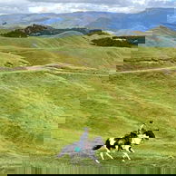 The River Valley Ride, North Island, New Zealand - Globetrotting horse riding holidays