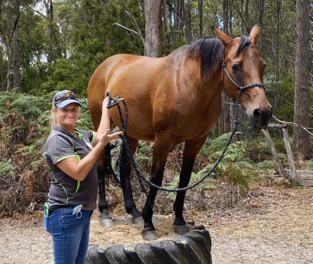 Tassie Tiger Trail, Tasmania, Australia - Globetrotting horse riding holidays