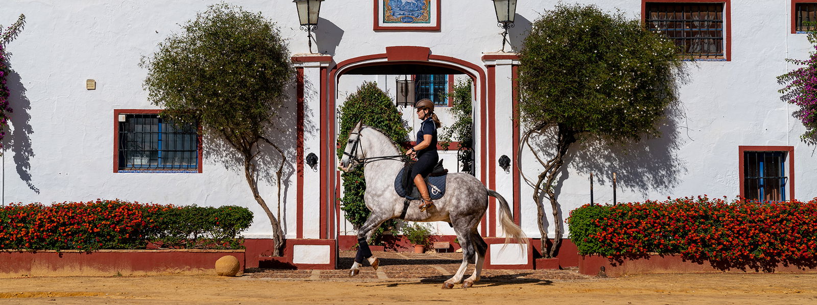 Dressage Ride in Andalusia, Spain - Globetrotting horse riding holidays