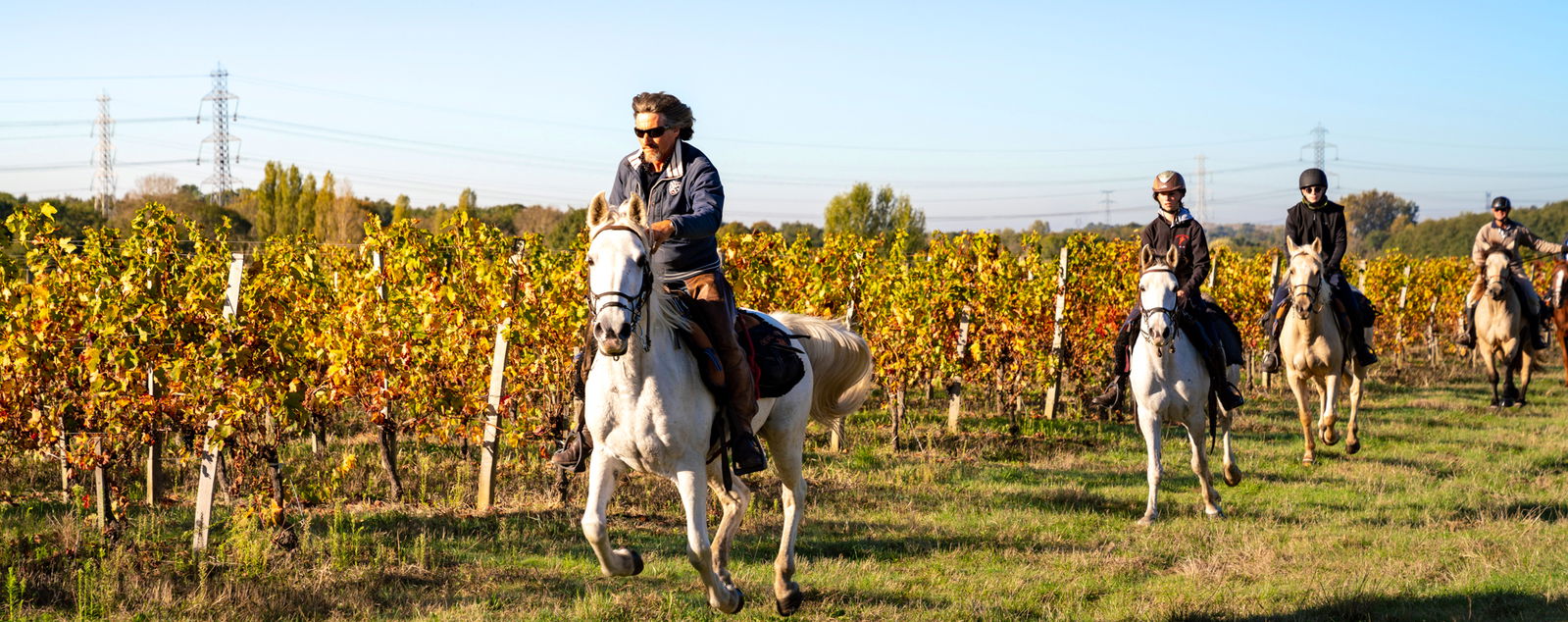 Bordeaux Wine Trail, France - Globetrotting horse riding holidays