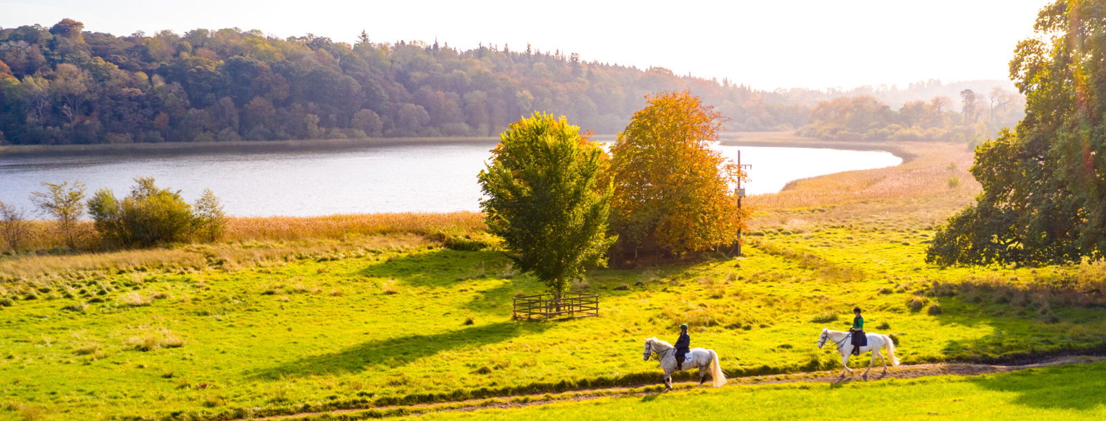 Castle & Estate Ride, Ireland - Globetrotting horse riding holidays