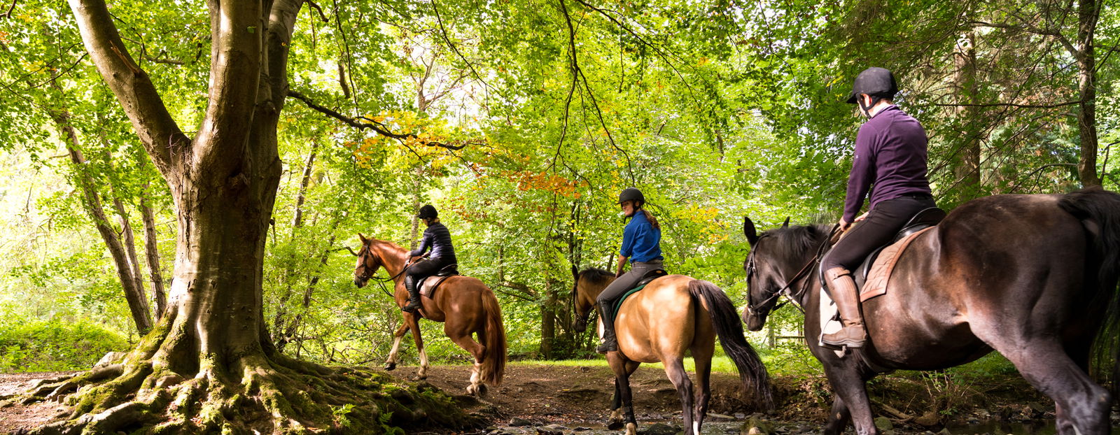 The Scottish Borders Ride, Scotland - Globetrotting horse riding holidays