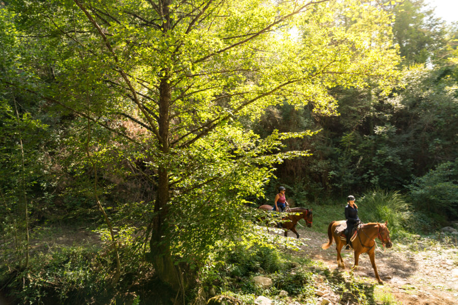 Catalonia, Spain - Globetrotting horse riding holidays