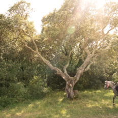 Catalan Coast Trail, Spain - Globetrotting horse riding holidays
