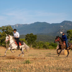 Catalan Coast Trail, Spain - Globetrotting horse riding holidays