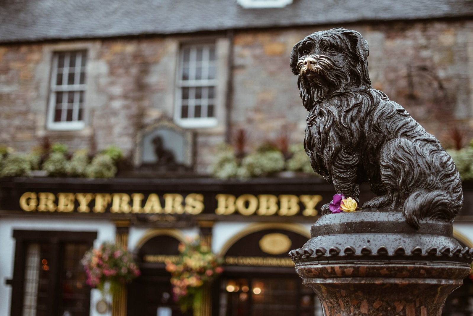 A Day Spent in Edinburgh - Greyfriars Bobby - image by Jamie Wheeler on Unsplash - Globetrotting horse riding holidays