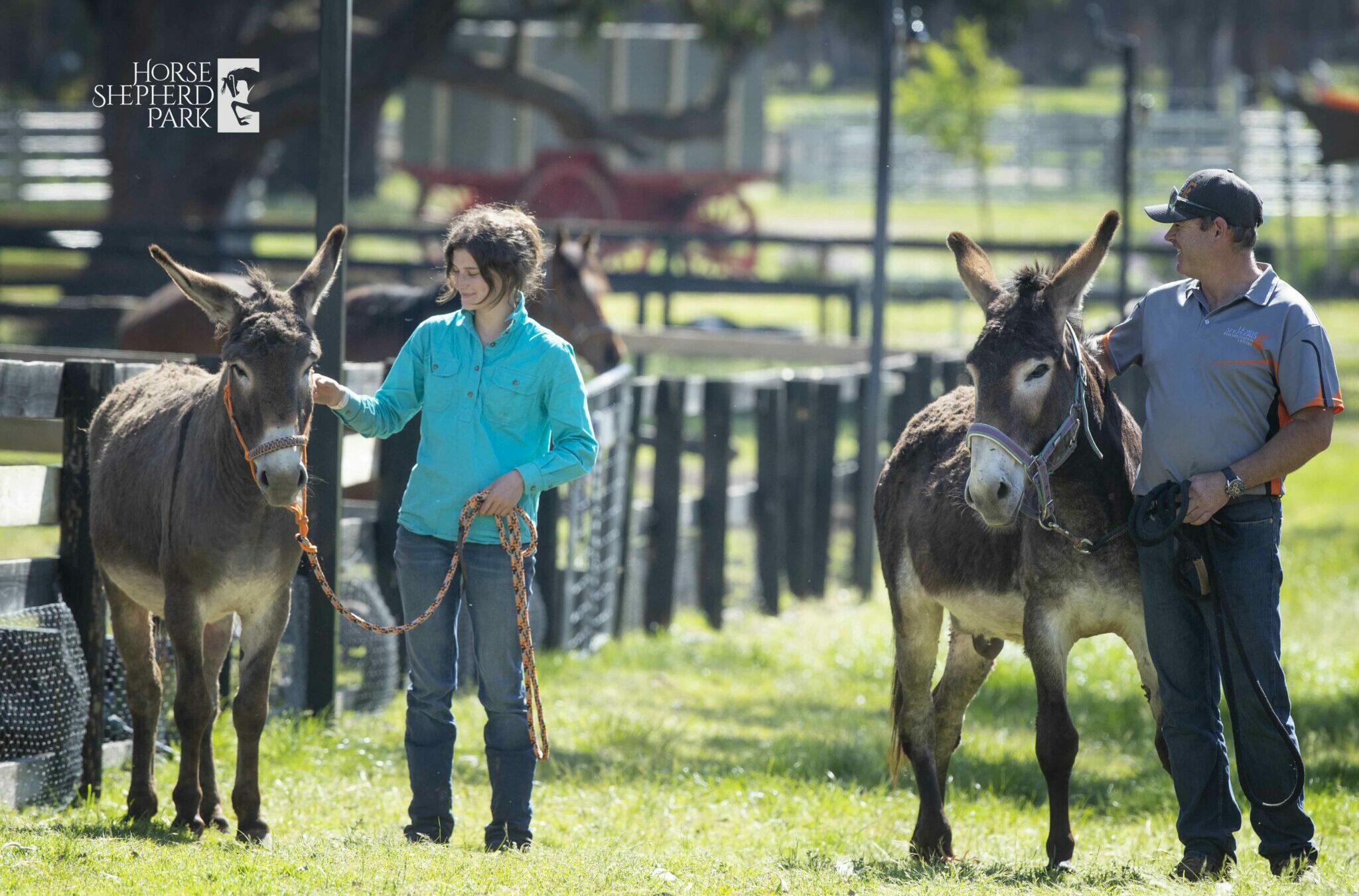 Horse Shepherd Equine Sanctuary - Globetrotting horse riding holidays