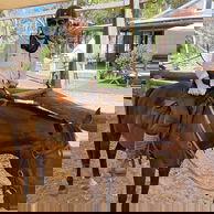 The Margaret River Ride, Western Australia - Globetrotting horse riding holidays