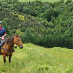 The River Valley Ride, North Island, New Zealand - Globetrotting horse riding holidays