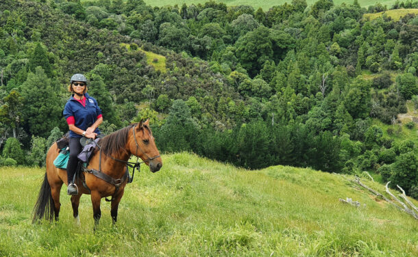 The River Valley Ride, North Island, New Zealand - Globetrotting horse riding holidays