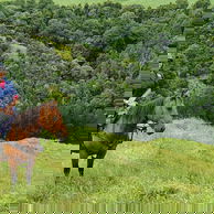 The River Valley Ride, North Island, New Zealand - Globetrotting horse riding holidays