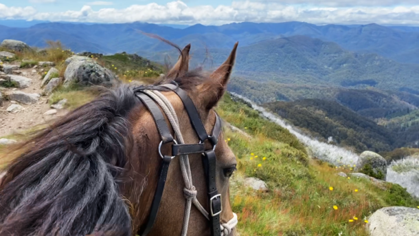Craig's Hut & High Country Ride, Victoria, Australia - Globetrotting horse riding holidays