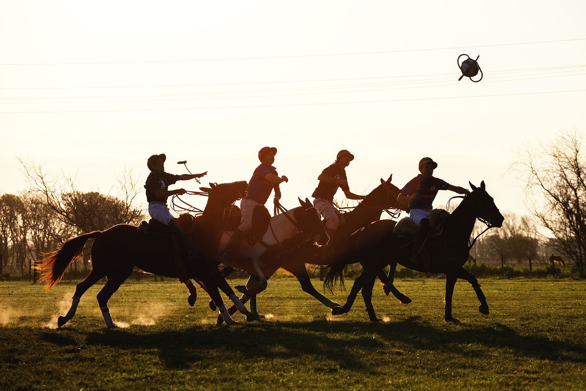 Pato, the national sport of Argentina - Globetrotting horse riding holidays