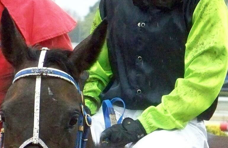 Michelle Payne on Yosei - image by StAnselm via Wikimedia Commons (public domain) - Globetrotting horse riding holidays