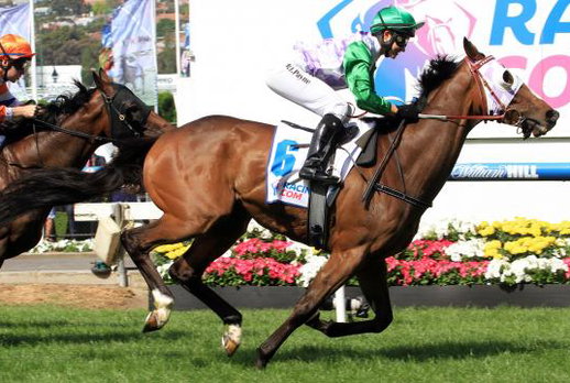Michelle Payne on Prince of Penzance winning the Melbourne Cup - image by Tmaggs1 via Wikimedia Commons - Globetrotting horse riding holidays