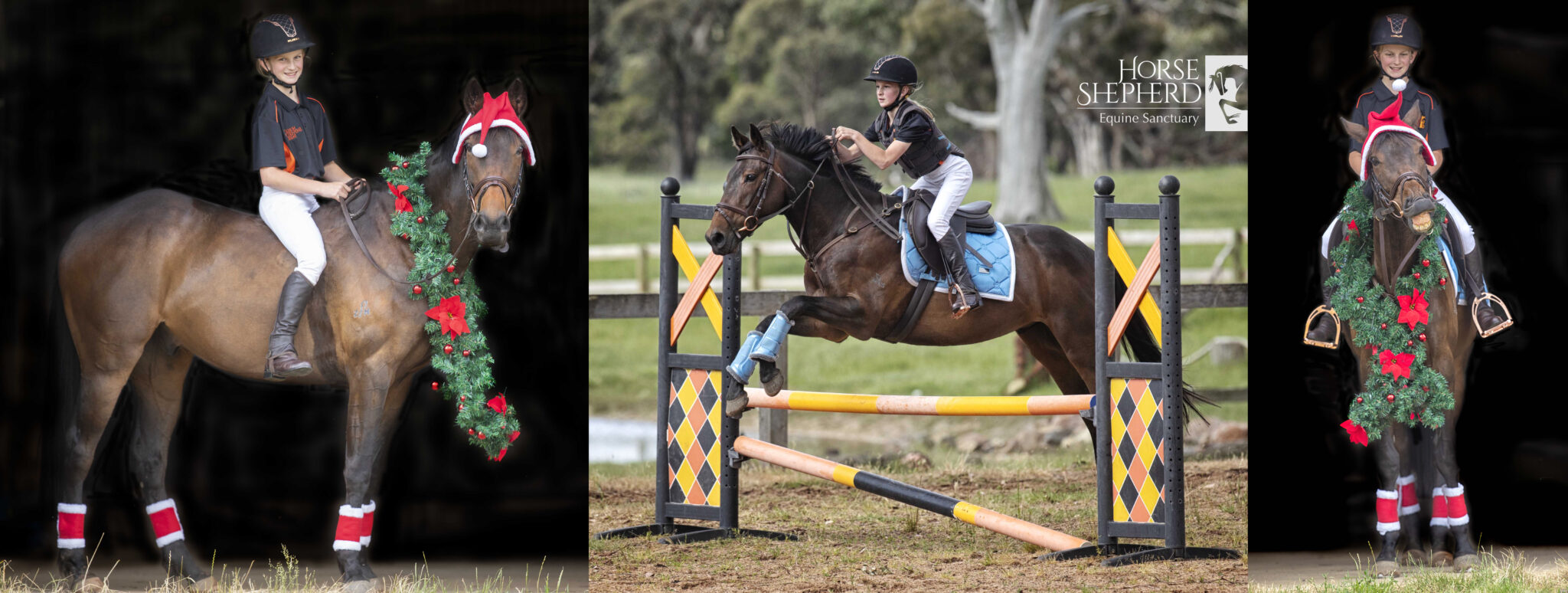 Horse Shepherd Equine Sanctuary - Globetrotting horse riding holidays