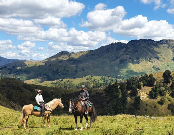 The River Valley Ride, North Island, New Zealand - Globetrotting horse riding holidays