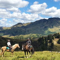 The River Valley Ride, North Island, New Zealand - Globetrotting horse riding holidays