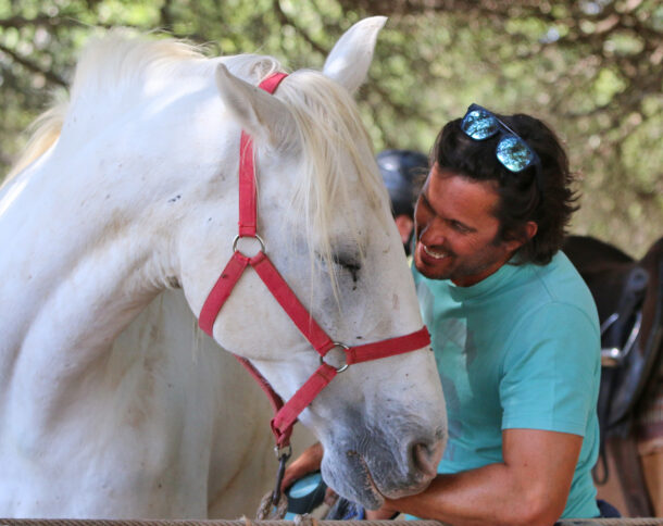 Globetrotting Guest Horse: Abraço - horse riding holidays in Portugal - Globetrotting