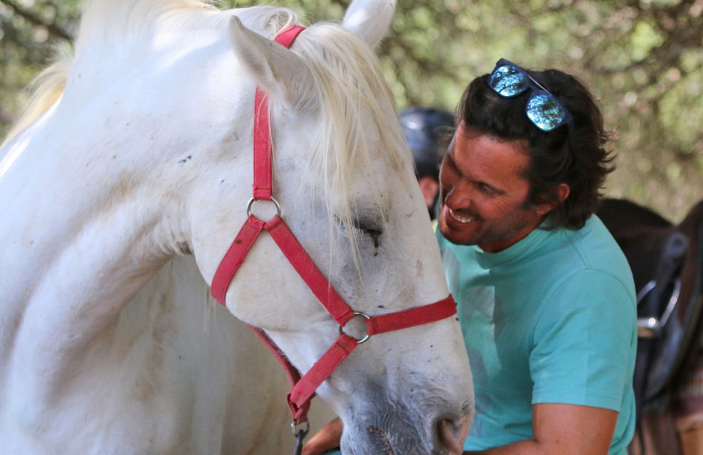 Globetrotting Guest Horse: Abraço - horse riding holidays in Portugal - Globetrotting