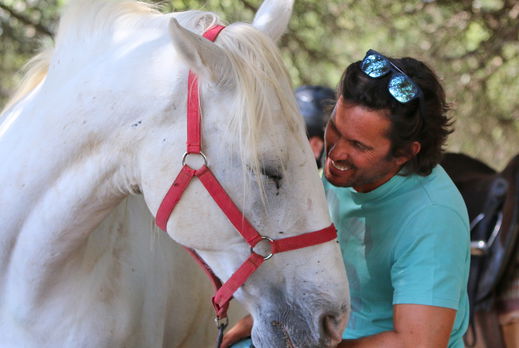 Globetrotting Guest Horse: Abraço - horse riding holidays in Portugal - Globetrotting