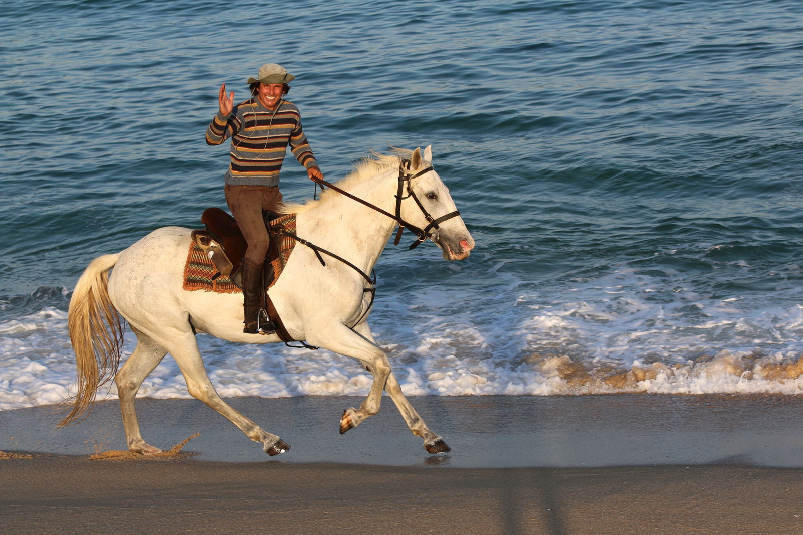 Globetrotting Guest Horse: Abraço - horse riding holidays in Portugal - Globetrotting