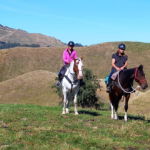 The River Valley Ride, North Island, New Zealand - Globetrotting horse riding holidays