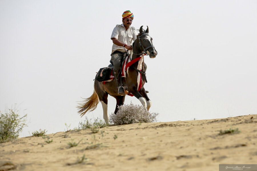 The Marwari Ride, India - Globetrotting horse riding holidays