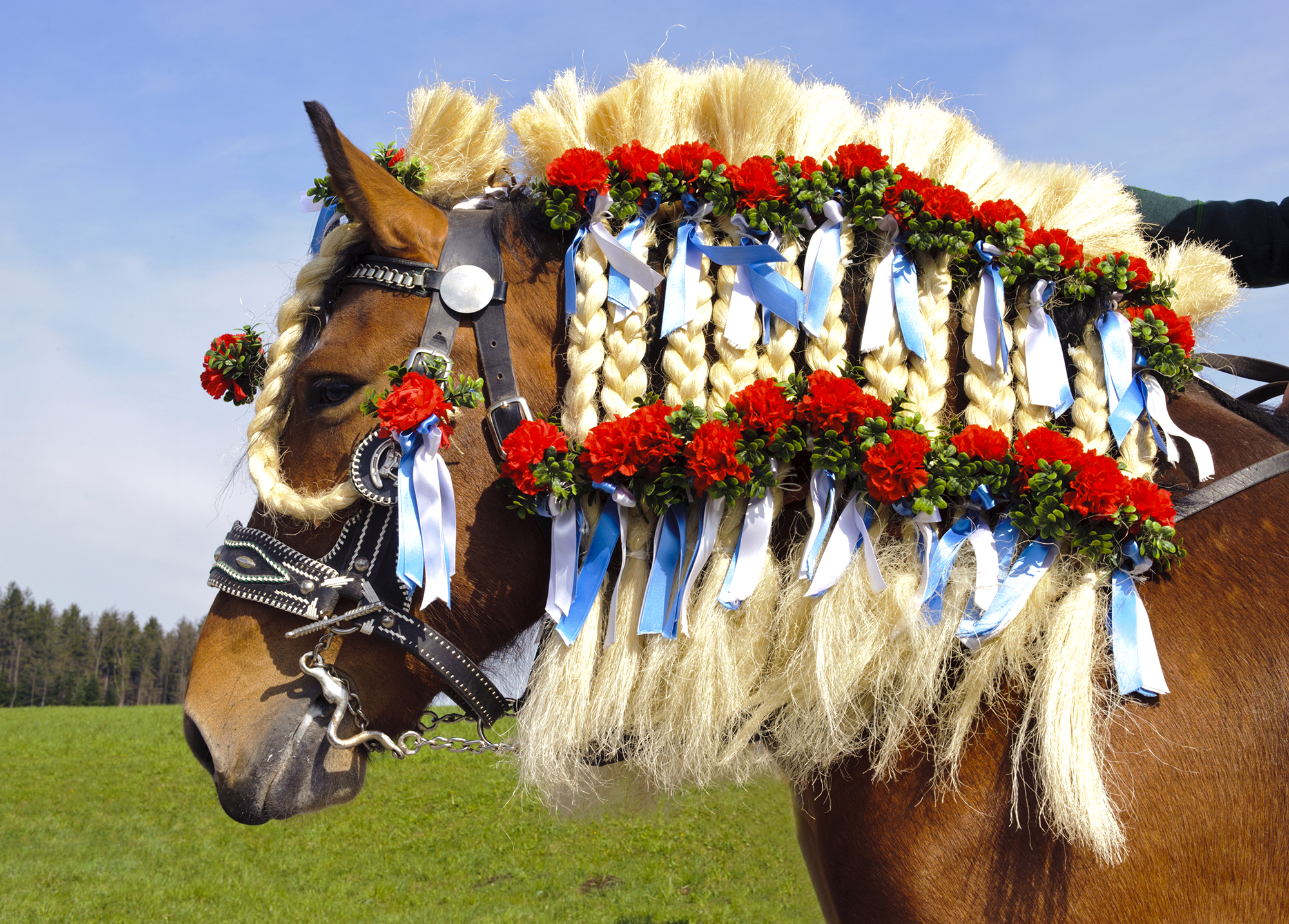 Saint George's Ride, or Georgiritt - a Very Bavarian Easter - image by Wolfilser/Shutterstock.com - Globetrotting horse riding holidays