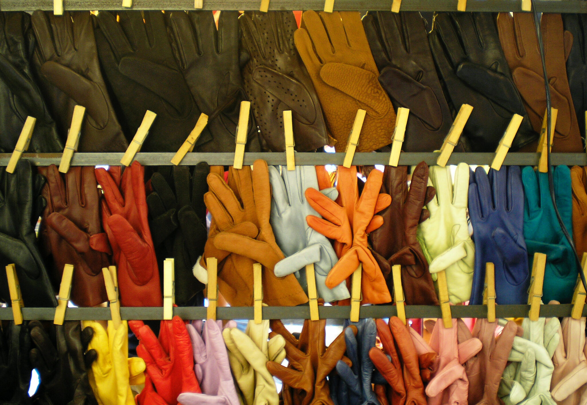 Don't Leave Home Without Gloves - Globetrotting horse riding holidays