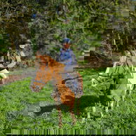 Castle & Estate Ride, Ireland - Globetrotting horse riding holidays