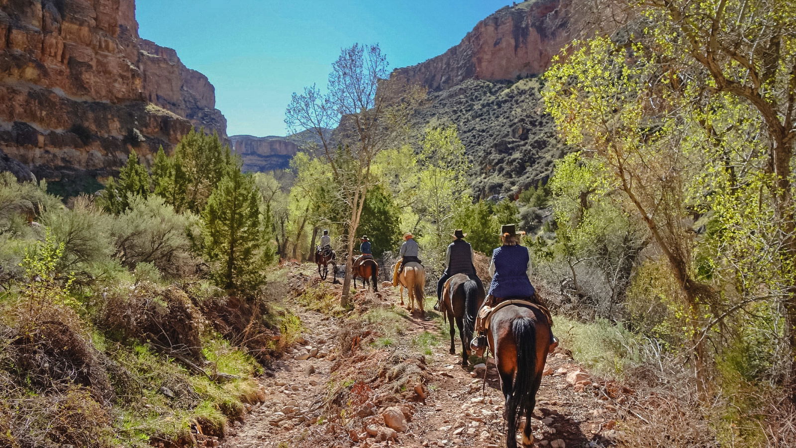 Ranch ride in Shell, Wyoming, USA - Globetrotting horse riding holidays