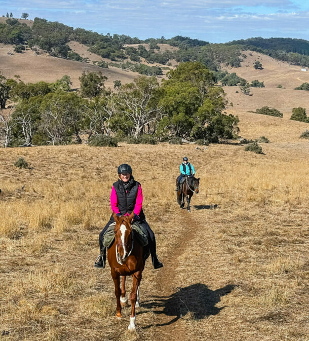 The Grape Horse Adventure, Barossa Valley, South Australia - Globetrotting horse riding holidays